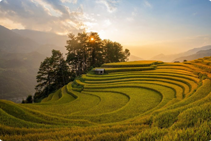Thư Viện Ảnh 3