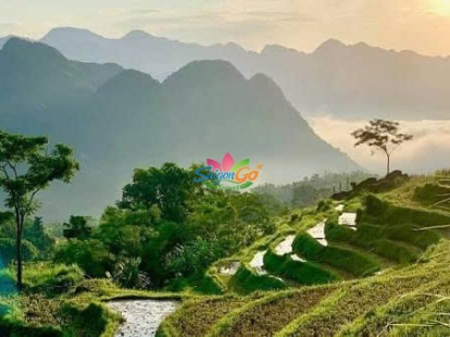 TOUR DU LỊCH PÙ LUÔNG 2 NGÀY 1 ĐÊM