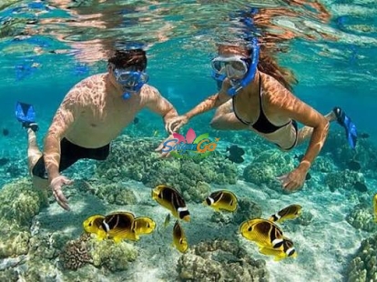 TOUR ĐOÀN PHÚ QUỐC 3 NGÀY 3 ĐÊM